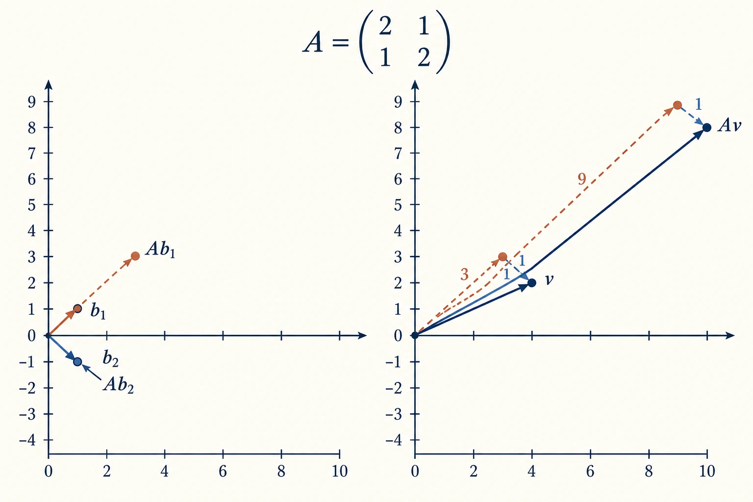 Una matriz amplía por tres la contribución (1,1) y conserva (1,-1). Su combinación (4,2) pasa a (10,8)