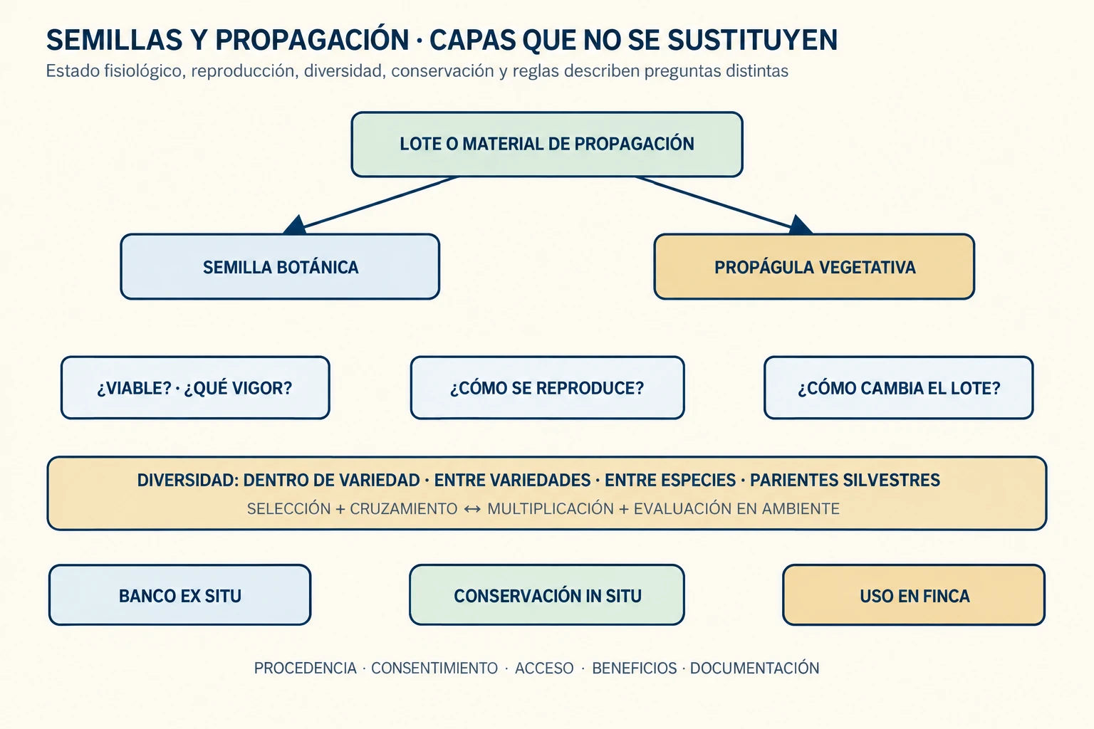 Diagrama de capas de un lote o material de propagación: separa semilla botánica y propágula vegetativa, relaciona viabilidad y vigor con niveles de diversidad, conecta selección y evaluación con bancos ex situ, conservación in situ y uso en finca, y añade procedencia, consentimiento y beneficios como condiciones transversales.