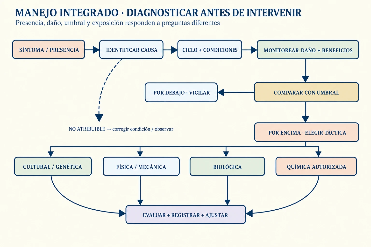 Un ciclo conecta síntoma y diagnóstico con ciclo biológico, prevención, monitoreo, umbral, intervención selectiva y evaluación; una bifurcación separa daños no atribuibles a plagas y la vía química muestra peligro, exposición, protección y resistencia.