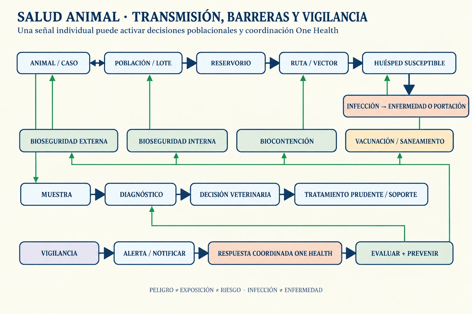 Una cadena relaciona animal y población con reservorio, ruta, huésped, infección y enfermedad; barreras de bioseguridad, vacunación y saneamiento se conectan con diagnóstico, tratamiento prudente, vigilancia, notificación y respuesta One Health.