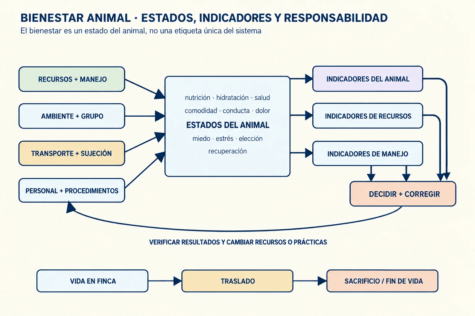 Diagrama de evaluación del bienestar animal que conecta recursos y manejo con estados observables, conducta, dolor, miedo, elección, transporte, sacrificio y decisiones humanas.