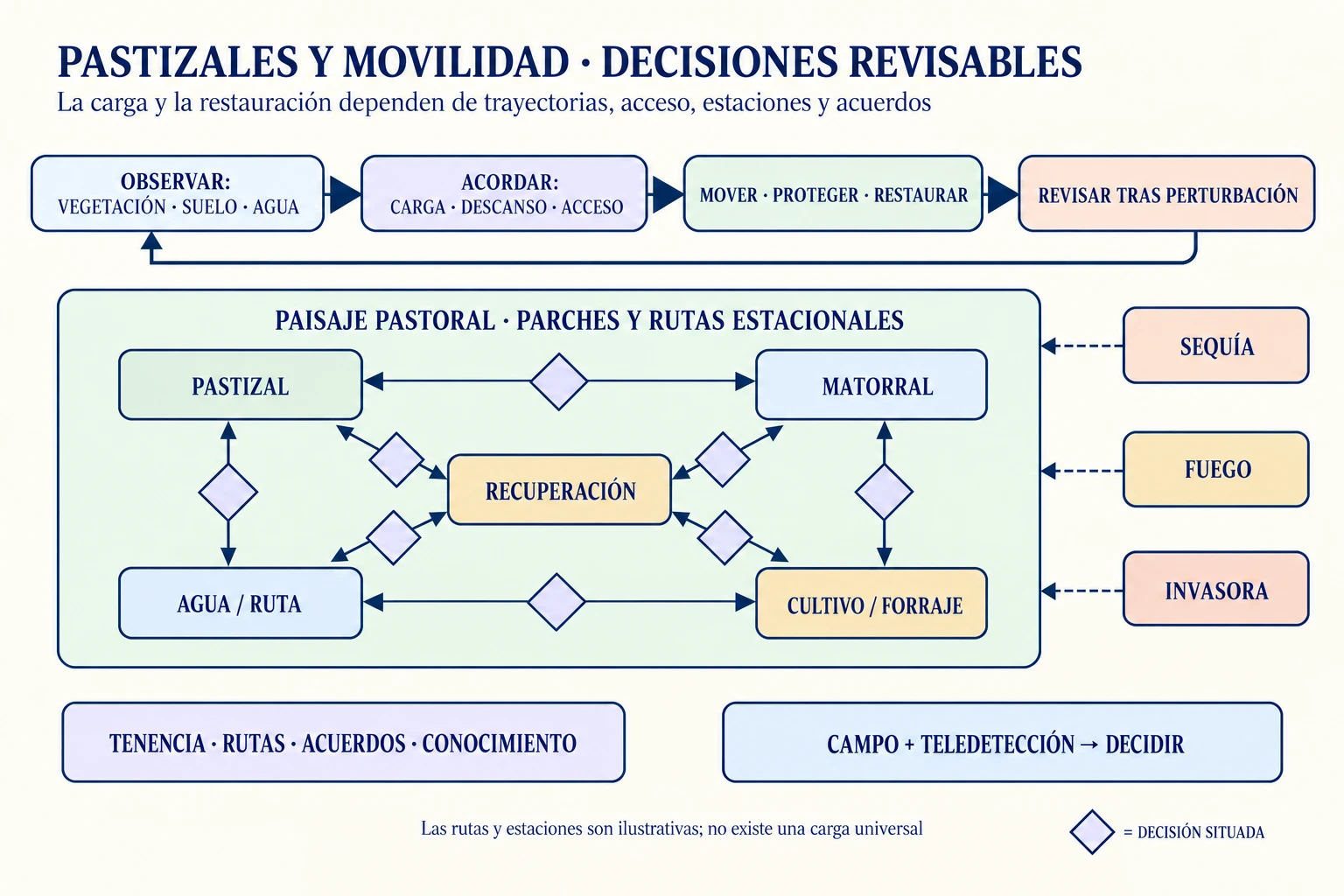 Diagrama conceptual de un paisaje pastoral con pastizal, matorral, agua, zonas de recuperación y cultivos, conectado por rutas estacionales y un ciclo de observar, acordar, mover o restaurar y revisar; sequía, fuego, invasoras, tenencia y conocimiento modifican las decisiones.