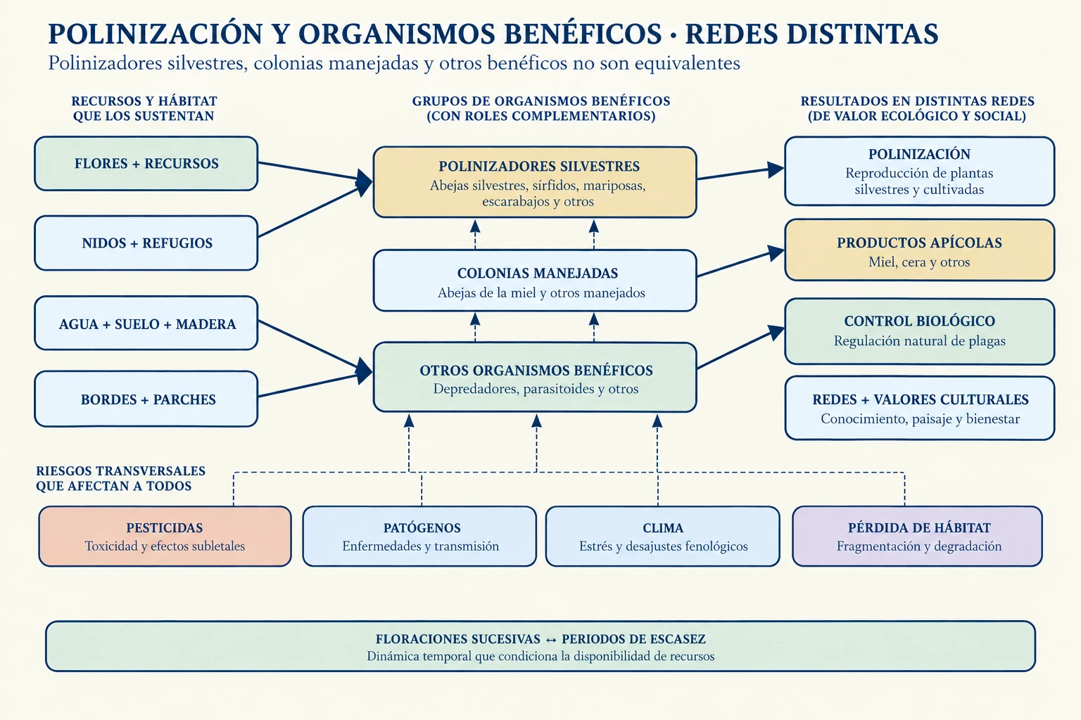 Diagrama de un paisaje agrícola que conecta flores, nidos y refugios con polinizadores silvestres, colonias manejadas y otros organismos benéficos, y separa polinización, productos apícolas y control biológico.