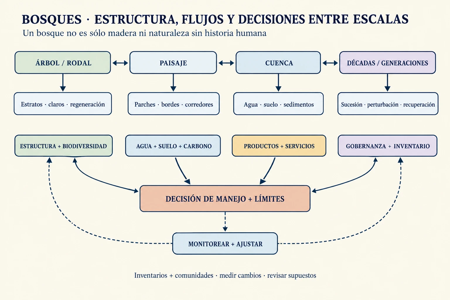 Diagrama de un bosque que conecta estructura, sucesión, agua, suelo, carbono, hábitat, productos y decisiones de manejo entre escalas de rodal, paisaje y tiempo.