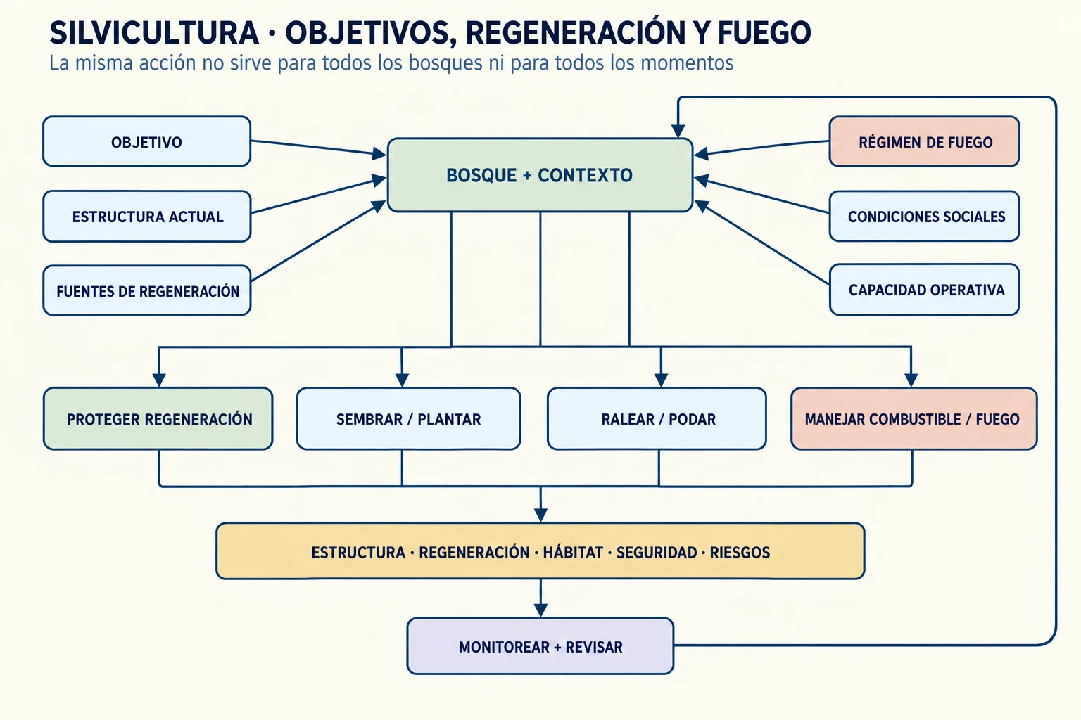 Diagrama de ciclo silvícola que conecta objetivos, estructura del bosque, regeneración, raleo y poda, manejo de combustible y fuego con resultados de hábitat, seguridad y estructura, y devuelve el aprendizaje del monitoreo a la decisión.