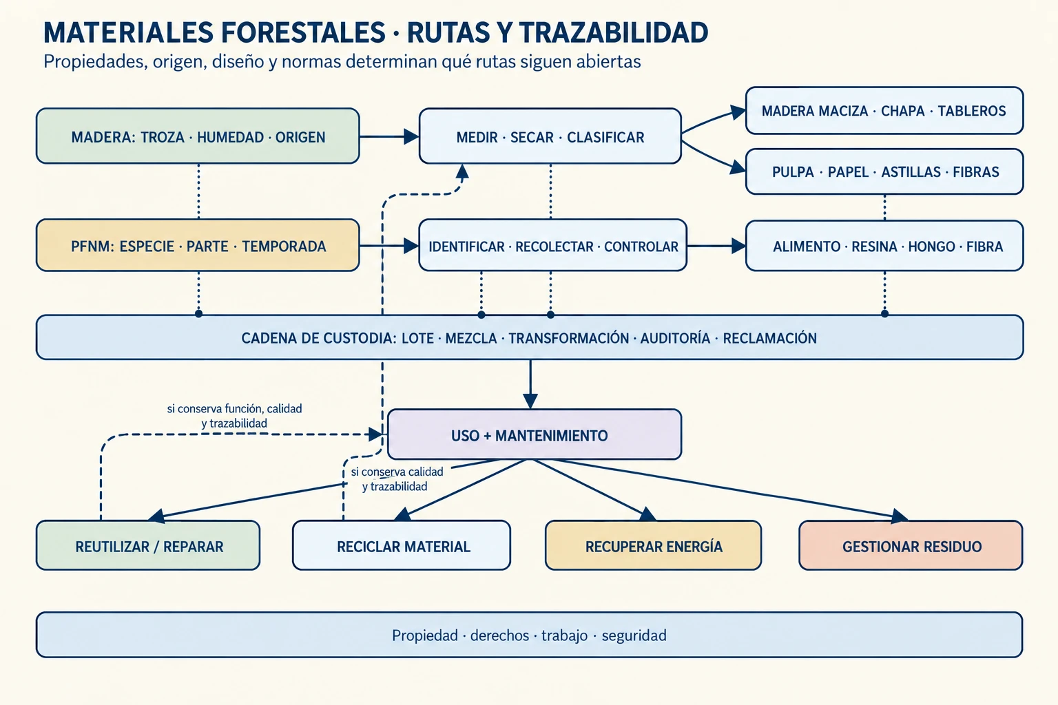 Un diagrama separa las entradas de madera y productos no maderables, las clasifica y ramifica hacia madera maciza, tableros, pulpa, papel, fibras y bienes diversos; uso, trazabilidad, reparación, reciclaje y gestión de residuos forman bucles condicionados por composición, derechos y normas.
