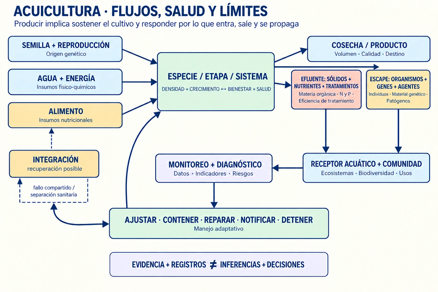 Un circuito conecta especie y etapa con semilla, agua, energía y alimento; densidad, crecimiento y salud generan cosecha, efluentes y riesgo de escape, mientras monitoreo y límites ecológicos retroalimentan ajustes y decisiones.