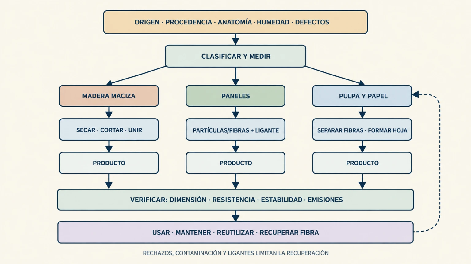 Diagrama ramificado que conecta origen, anatomía, humedad y defectos con tres rutas de madera maciza, tableros y papel; cada ruta llega a un producto especificado y se relaciona con pruebas de humedad, resistencia, emisiones, trazabilidad, durabilidad y reciclaje.