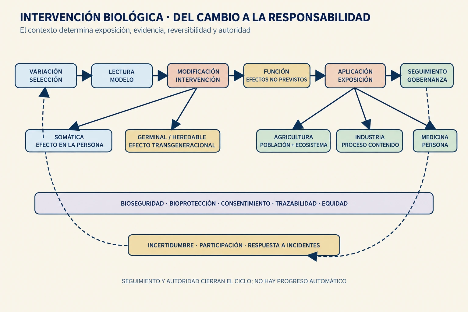 Diagrama que conecta selección, lectura, modificación, evaluación, aplicaciones agrícolas, industriales y médicas, contención, seguimiento, equidad y gobernanza.